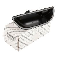 Türgriff vorne links