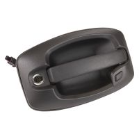 Türgriff vorne links