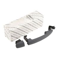 Türgriff vorne links