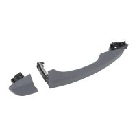 Türgriff vorne rechts