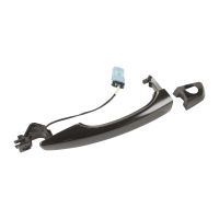 Türgriff vorne links