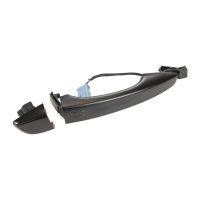 Türgriff vorne rechts