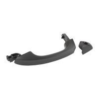 Türgriff vorne links