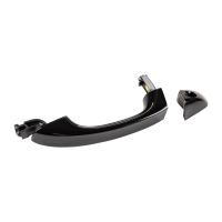 Türgriff vorne links