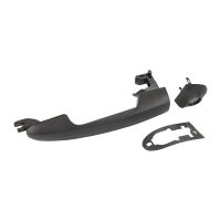 Türgriff vorne links