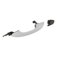 Türgriff hinten links