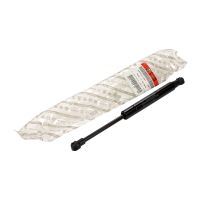 Gasfeder für Heckklappe