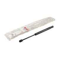 Gasfeder für Heckklappe