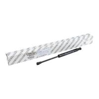 Gasfeder für Heckklappe