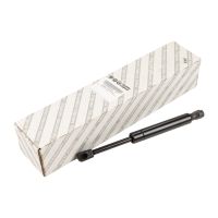 Gasfeder für Heckklappe