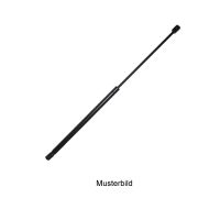 Gasfeder für Aufstelldach