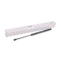 Gasfeder für Heckklappe