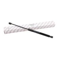 Gasfeder für Heckklappe