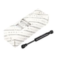 Gasfeder für das Verdeck