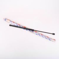 Gasdruckfeder hinten