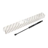 Gasfeder für Motorhaube