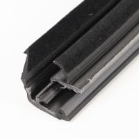 Türdichtung hinten links