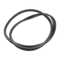 Türdichtung hintere Tür rechts und links Profilgummi