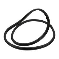 Türdichtung Profilgummi hinten rechts