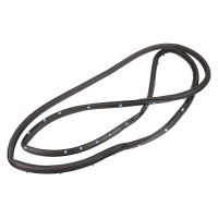 Profilgummi hinten rechts