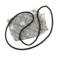 Türdichtung rechts hintere Tür