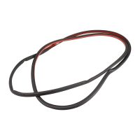 Profilgummi für die Vordertür links