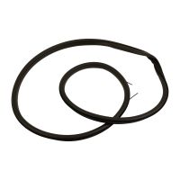 Profilgummi für die Vordertür