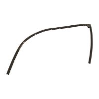 Türdichtung hinten links