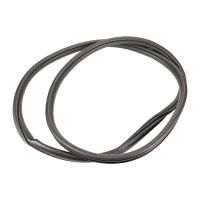 Türdichtung hinten rechts oder links