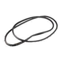 Profilgummi für die hintere Tür rechts