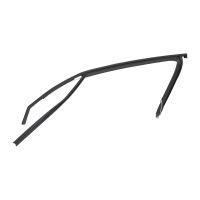 Profilgummi vorne links