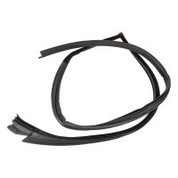 Profilgummi vorne links