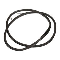 Profilgummi vorne links oder rechts