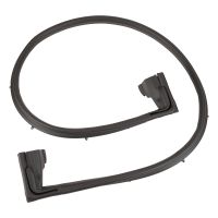 Profilgummi für die Hecktür