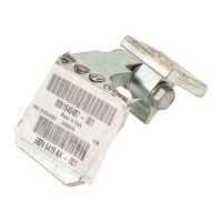 Hintertürscharnier unten links