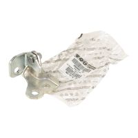 Türscharnier vorne links oben