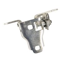 Türscharnier vorne unten links