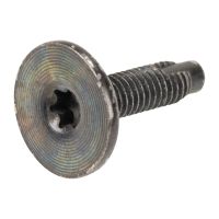 Schraube Torx T-30 M6 OE