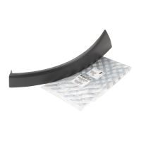 Zierleiste vorne an der Front links PSA OE