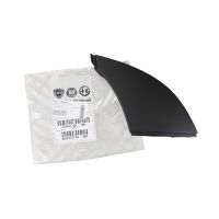 Zierleiste vorne an der Front links