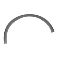 Zierleiste außen am Kotflügel links hinten