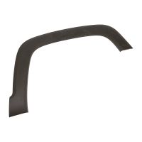 Zierleiste am Kotflügel vorn rechts