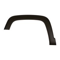 Zierleiste am Kotflügel vorn links