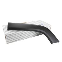 Zierleiste am Kotflügel hinten links