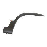 Zierleiste am vorderen Kotflügel rechts