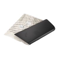 Rammschutzleiste Beifahrertür rechts PSA