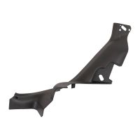 Trittbrettleiste rechts