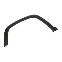 Zierleiste vorne links 