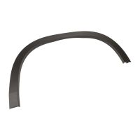 Zierleiste am Kotflügel vorne rechts