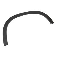 Zierleiste vorne am Kotflügel rechts